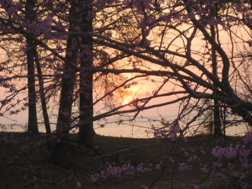Twilight on Lake Livingston